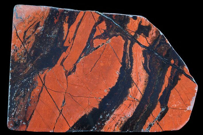 Polished Tiger Iron Stromatolite - ( Billion Years) #72908